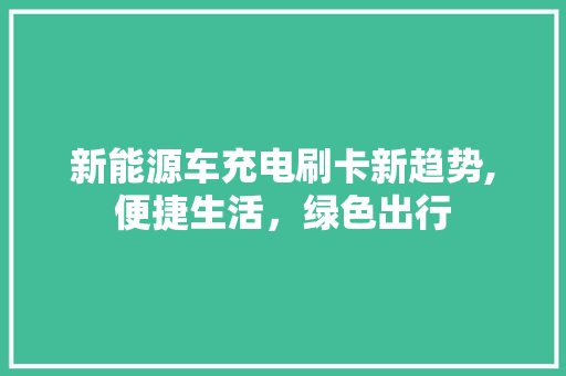 新能源车充电刷卡新趋势,便捷生活，绿色出行