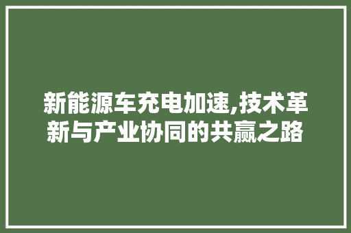 新能源车充电加速,技术革新与产业协同的共赢之路