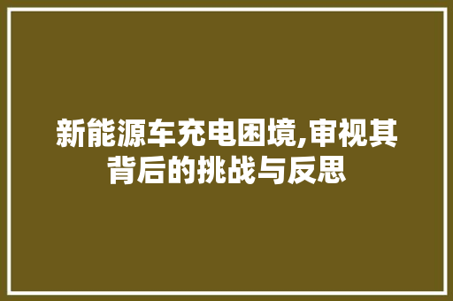 新能源车充电困境,审视其背后的挑战与反思