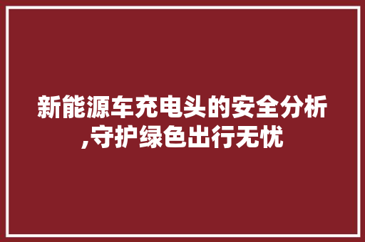 新能源车充电头的安全分析,守护绿色出行无忧