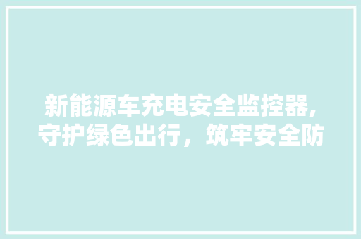新能源车充电安全监控器,守护绿色出行，筑牢安全防线
