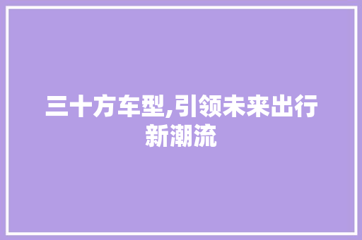 三十方车型,引领未来出行新潮流