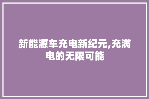 新能源车充电新纪元,充满电的无限可能