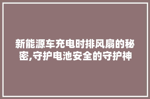 新能源车充电时排风扇的秘密,守护电池安全的守护神