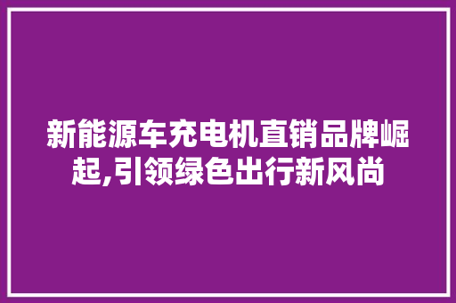 新能源车充电机直销品牌崛起,引领绿色出行新风尚