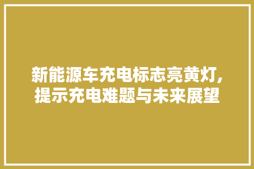 新能源车充电标志亮黄灯,提示充电难题与未来展望