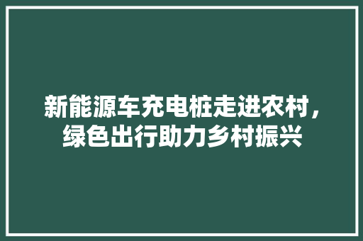 新能源车充电桩走进农村，绿色出行助力乡村振兴