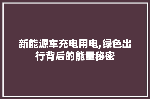 新能源车充电用电,绿色出行背后的能量秘密