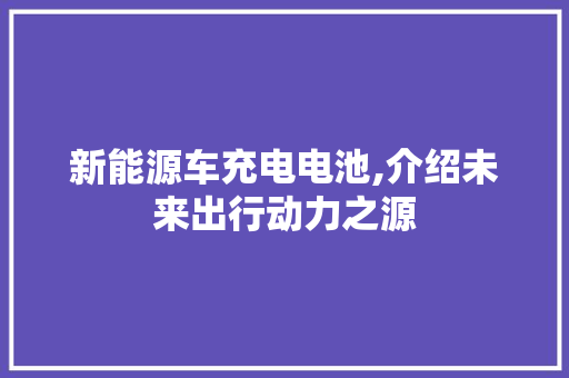 新能源车充电电池,介绍未来出行动力之源
