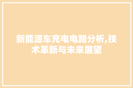 新能源车充电电路分析,技术革新与未来展望