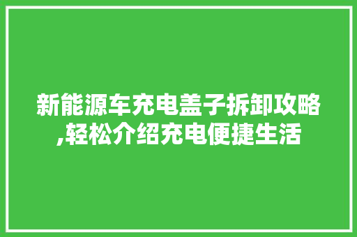 新能源车充电盖子拆卸攻略,轻松介绍充电便捷生活