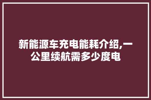 新能源车充电能耗介绍,一公里续航需多少度电