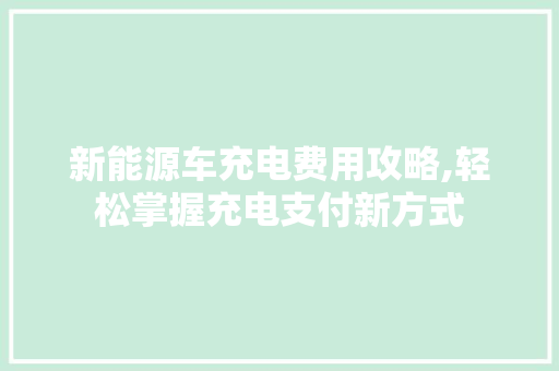 新能源车充电费用攻略,轻松掌握充电支付新方式