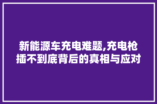 新能源车充电难题,充电枪插不到底背后的真相与应对步骤
