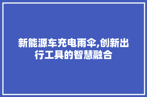 新能源车充电雨伞,创新出行工具的智慧融合