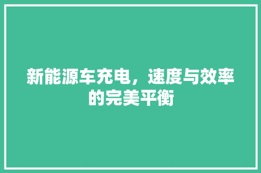新能源车充电，速度与效率的完美平衡