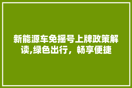 新能源车免摇号上牌政策解读,绿色出行，畅享便捷