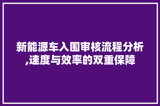 新能源车入围审核流程分析,速度与效率的双重保障