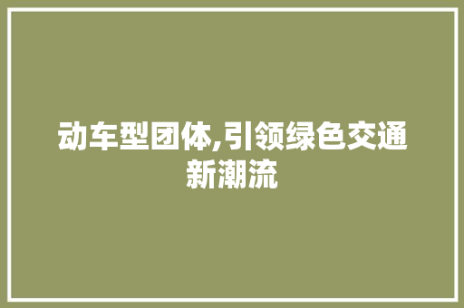 动车型团体,引领绿色交通新潮流