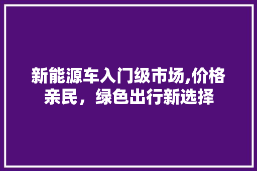 新能源车入门级市场,价格亲民，绿色出行新选择