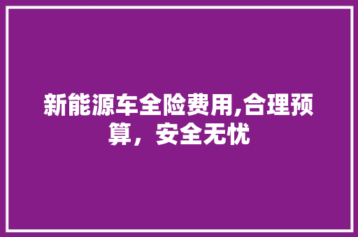新能源车全险费用,合理预算，安全无忧