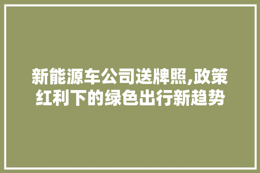 新能源车公司送牌照,政策红利下的绿色出行新趋势