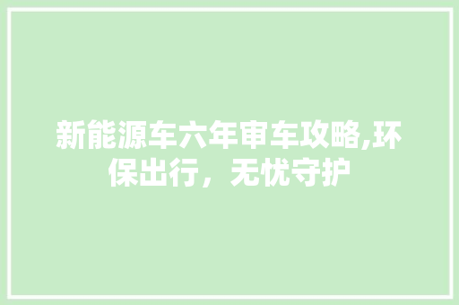 新能源车六年审车攻略,环保出行，无忧守护