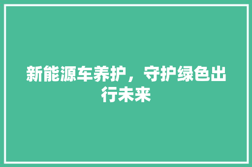 新能源车养护，守护绿色出行未来