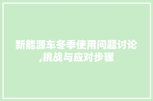 新能源车冬季使用问题讨论,挑战与应对步骤