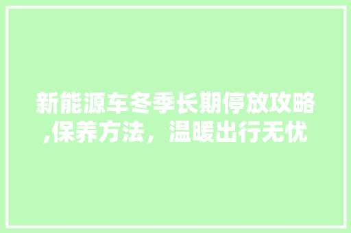 新能源车冬季长期停放攻略,保养方法，温暖出行无忧