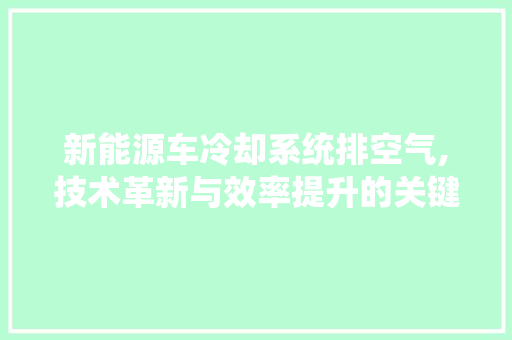 新能源车冷却系统排空气,技术革新与效率提升的关键