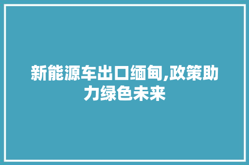 新能源车出口缅甸,政策助力绿色未来