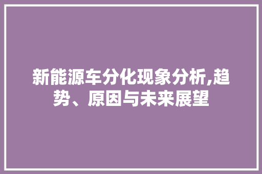 新能源车分化现象分析,趋势、原因与未来展望