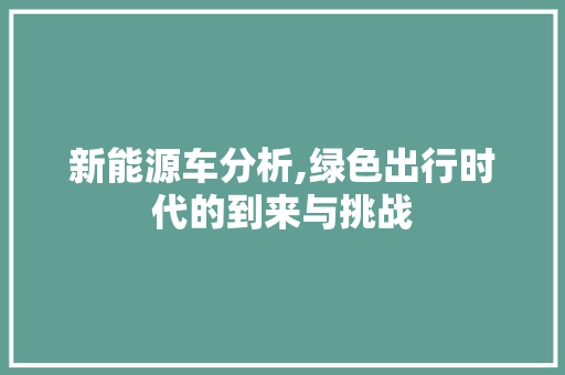 新能源车分析,绿色出行时代的到来与挑战