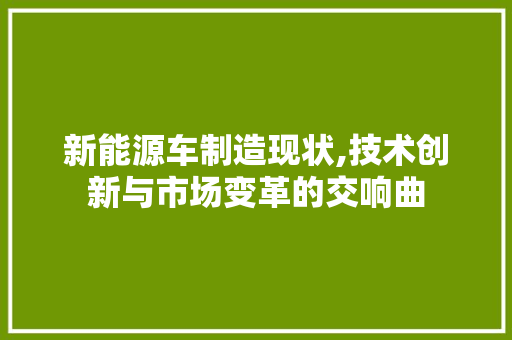 新能源车制造现状,技术创新与市场变革的交响曲