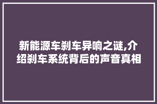 新能源车刹车异响之谜,介绍刹车系统背后的声音真相