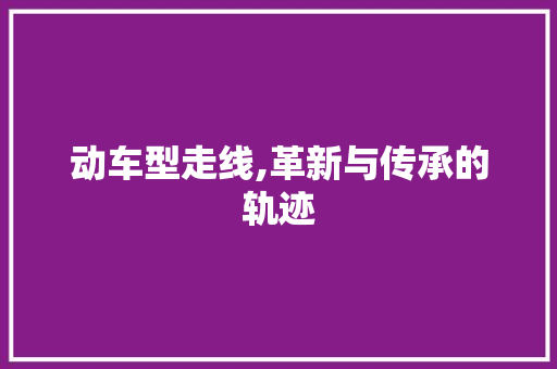 动车型走线,革新与传承的轨迹