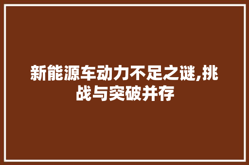 新能源车动力不足之谜,挑战与突破并存