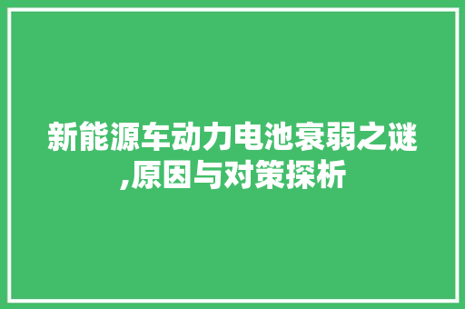 新能源车动力电池衰弱之谜,原因与对策探析