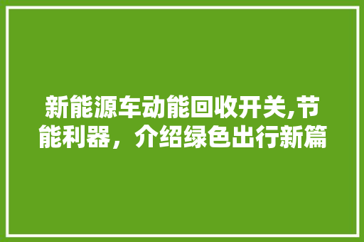 新能源车动能回收开关,节能利器，介绍绿色出行新篇章