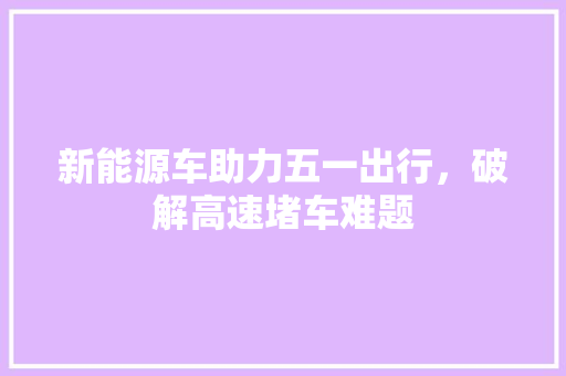 新能源车助力五一出行，破解高速堵车难题