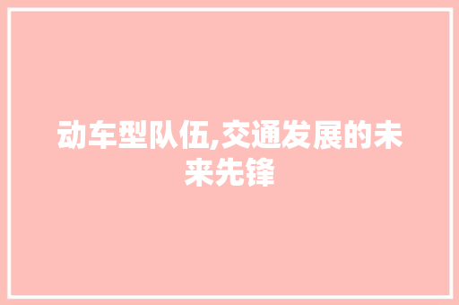 动车型队伍,交通发展的未来先锋