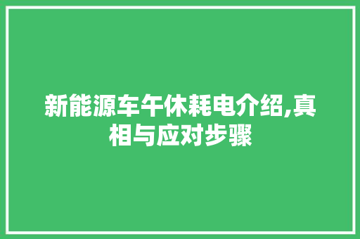 新能源车午休耗电介绍,真相与应对步骤