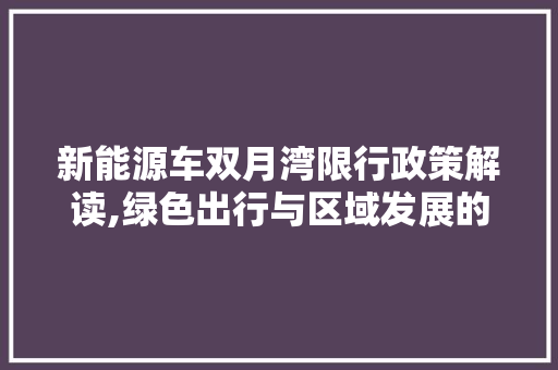 新能源车双月湾限行政策解读,绿色出行与区域发展的双赢之路