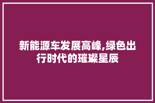 新能源车发展高峰,绿色出行时代的璀璨星辰