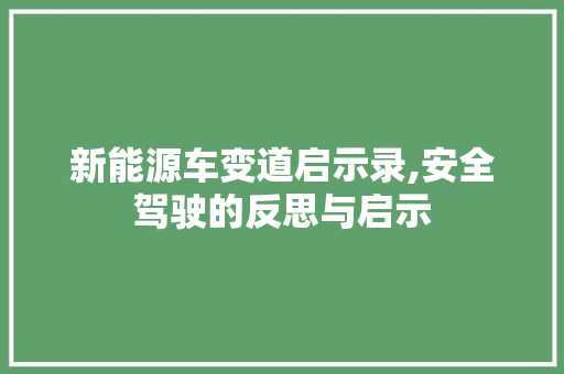 新能源车变道启示录,安全驾驶的反思与启示