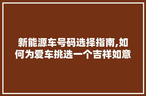 新能源车号码选择指南,如何为爱车挑选一个吉祥如意的车牌