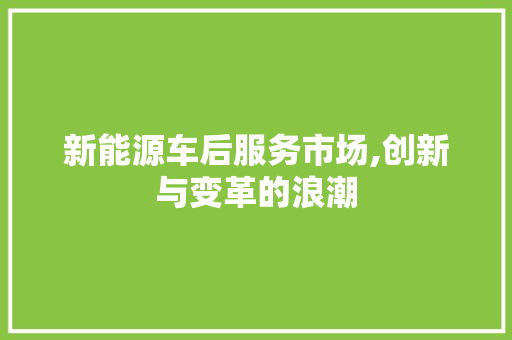 新能源车后服务市场,创新与变革的浪潮