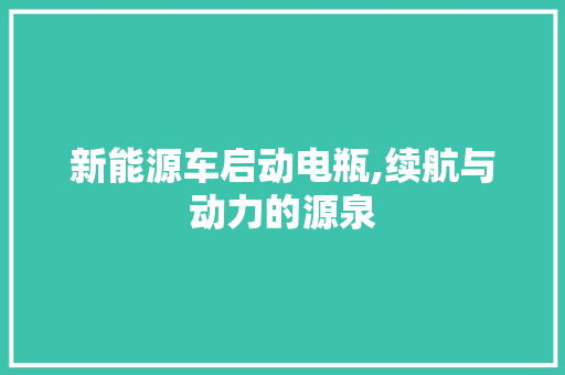 新能源车启动电瓶,续航与动力的源泉