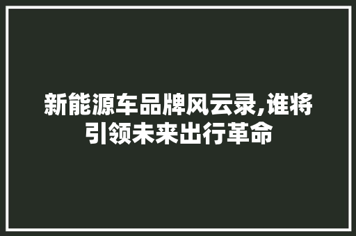 新能源车品牌风云录,谁将引领未来出行革命